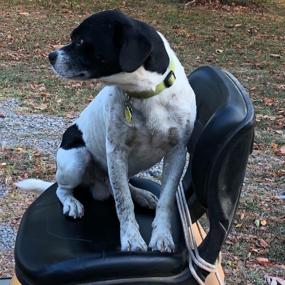 Meet your Posher, Leigh